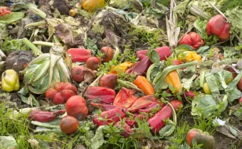 Kopka organického odpadu na kompostovej kôpke vonku, ilustrujúca recykláciu potravinových odpadov na záhrade.