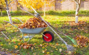 Jeseň na záhrade – týmto činnostiam venujte pozornosť