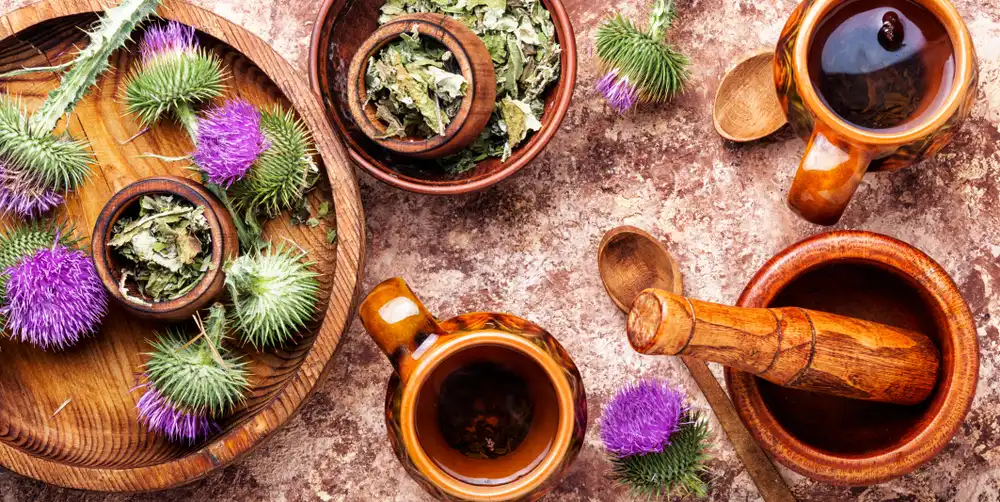 Drevený podnos s rôznymi formami pestreca mariánskeho, vrátane sušených listov a kvetov, a hrnčeky čaju, zdôrazňujúci tradičné bylinné liečenie.