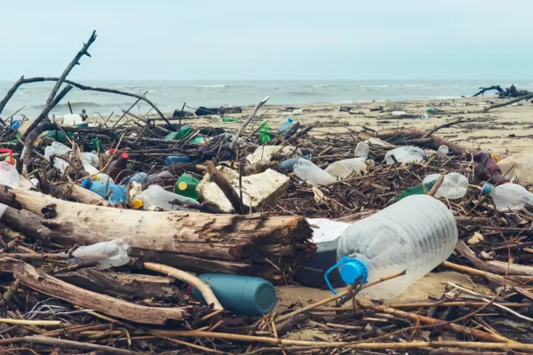 Plasty v mori: Prečo tam končia a ako tomu zabrániť?