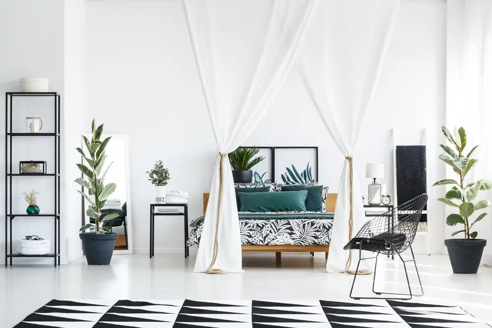 Na obrázku je obývacia izba s čiernobielym motívom a kontrastnými textilnými vzormi. Otvorené priestory a vysoké stropy sú použité s vysokými rastlinami a štíhlym nábytkom, čo do malého bytu vnáša vzdušnosť a štýl.