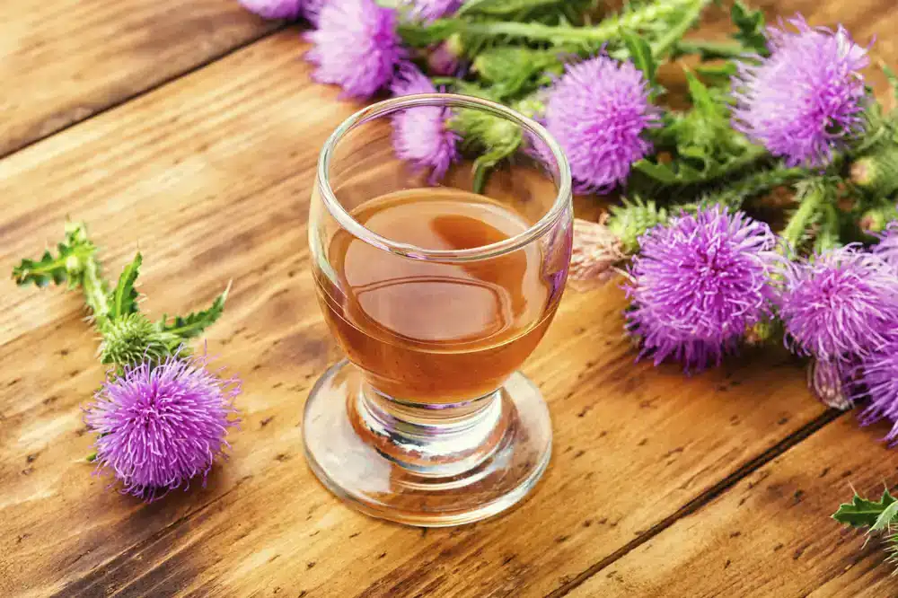Pohár s bylinkovým čajom obklopený fialovými kvetmi, ktoré môžu naznačovať bylinky používané pre zníženie kyseliny močovej.